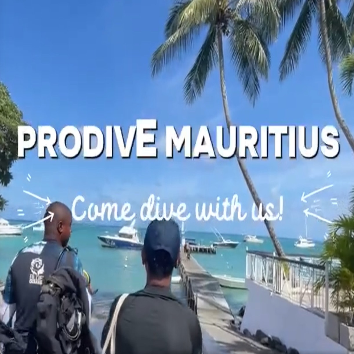 Come dive with us !