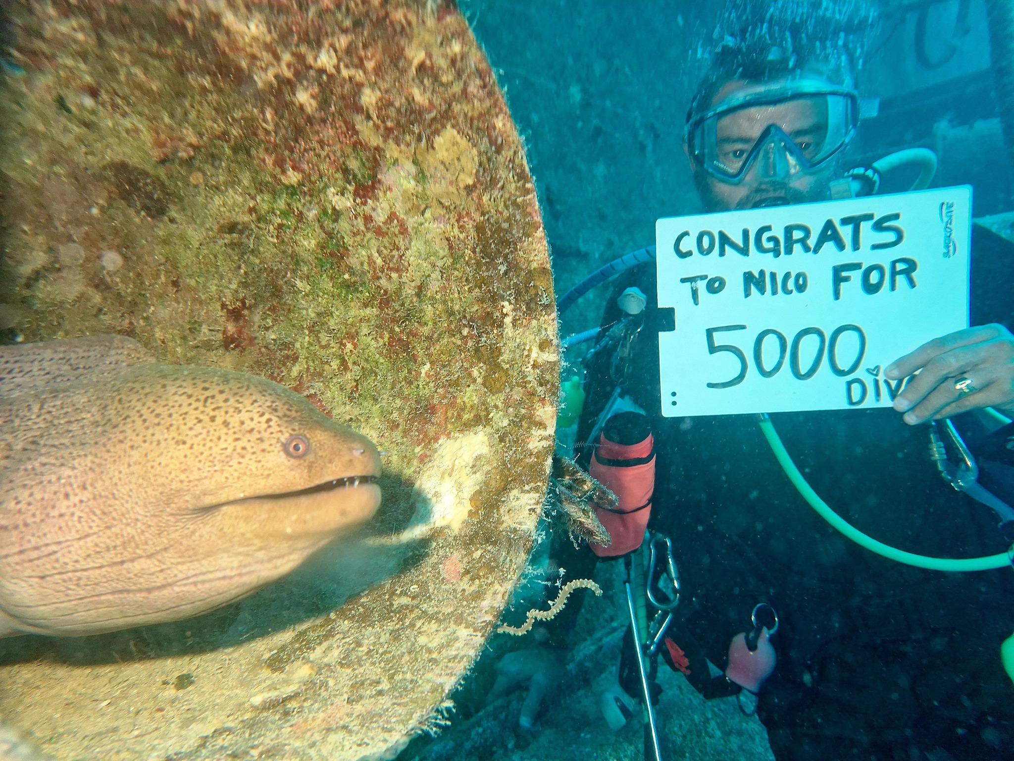 5000 dives !