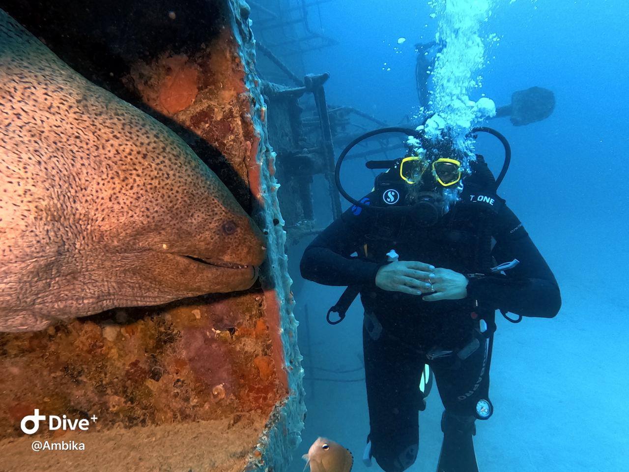 Some pictures from our August dives.